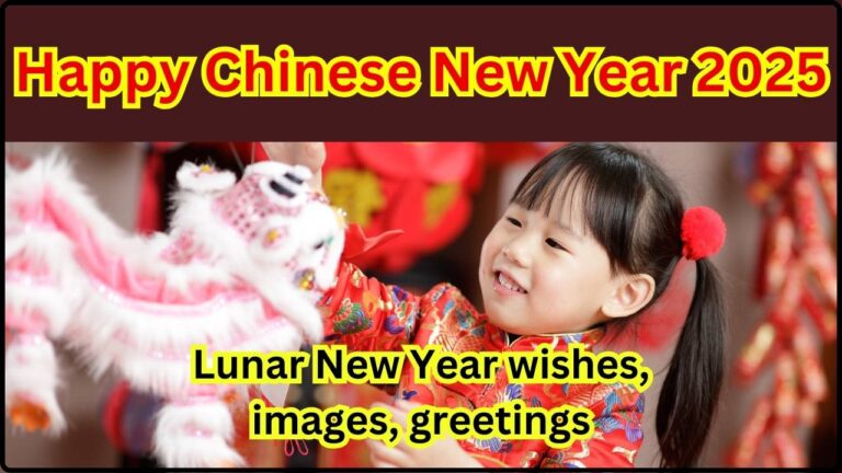 chinese new year 2025 festivites