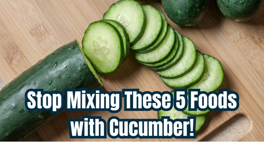 Are You Eating 5 These Food with Cucumber, Should Stop Immediately 1 Are You Eating 5 These Food with Cucumber, Should Stop Immediately