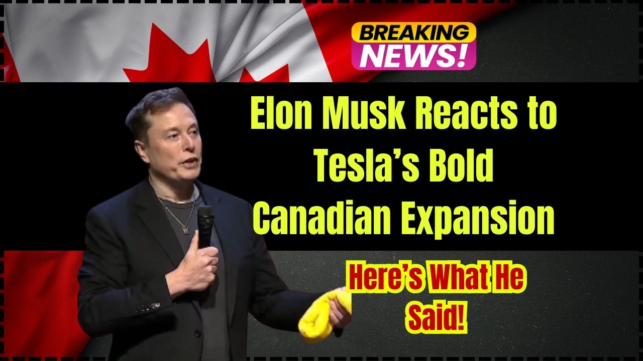 Elon Musk Reacts to Tesla’s Bold Canadian Expansion; Here’s What He Said! UP Excise Portal