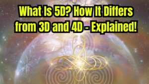 What Is 5D? How It Differs from 3D and 4D – Explained!