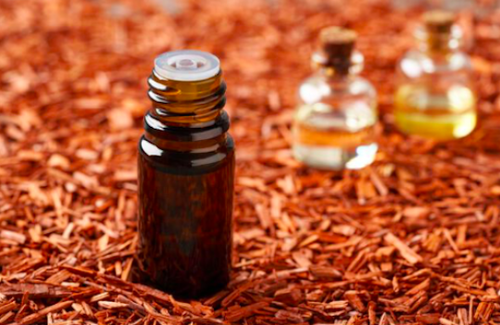 These 5 Essential Oils Can Replace Your Perfume: Best Alternatives to Traditional Perfumes 4 Sandalwood Oils for Perfume