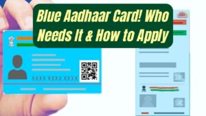 Ever Seen a Blue Aadhaar Card? Here's Who Needs It and How You Can Apply
