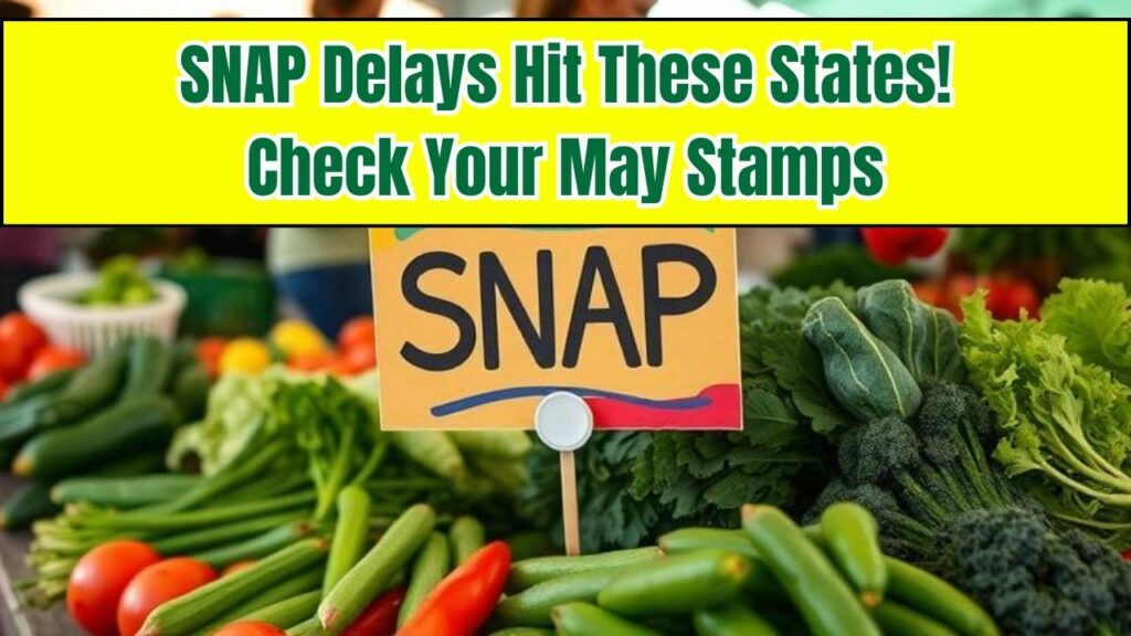 SNAP Just Stopped in These States Until June – Check If Your May Food Stamps Are Still Active 1 SNAP Just Stopped in These States Until June – Check If Your May Food Stamps Are Still Active