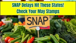 SNAP Just Stopped in These States Until June – Check If Your May Food Stamps Are Still Active