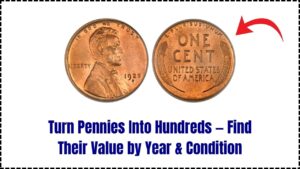 Some Pennies Could Fetch Hundreds of Dollars — Check Their Value by Year and Condition