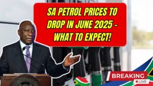South Africa Petrol Prices to Drop in June 2025: Check What to Expect in the Coming Months