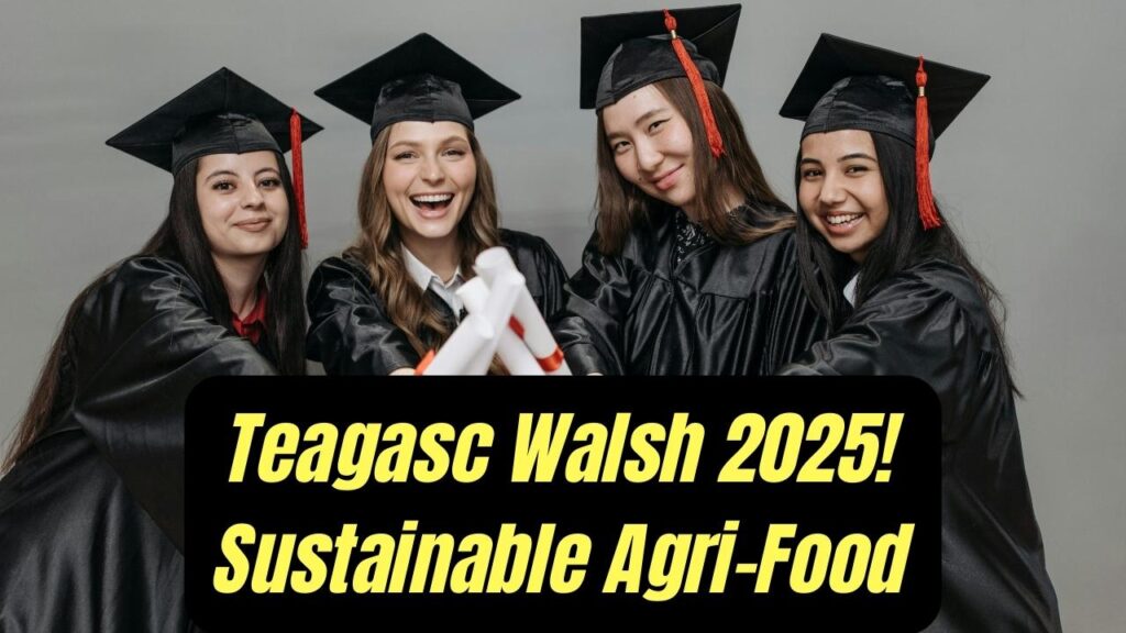 Teagasc Walsh Scholarship 2025: Check Opportunities for Sustainability in Ireland’s Agri-Food Sector 1 Teagasc Walsh Scholarship 2025: Check Opportunities for Sustainability in Ireland’s Agri-Food Sector