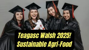 Teagasc Walsh Scholarship 2025: Check Opportunities for Sustainability in Ireland’s Agri-Food Sector