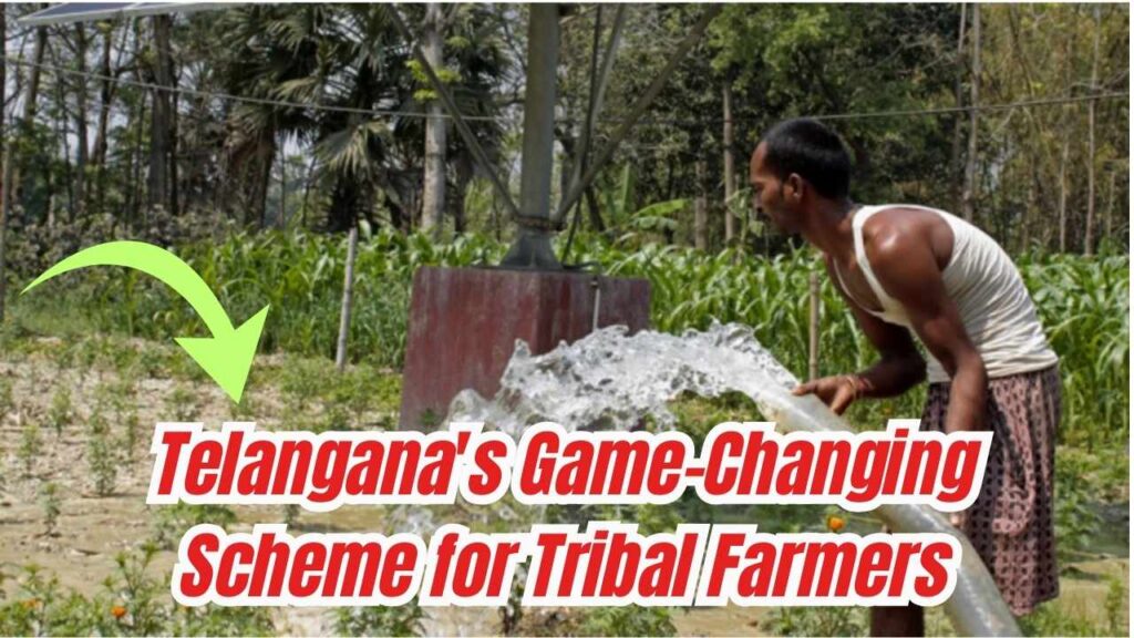 Telangana’s New Scheme Could Be a Game-Changer for Tribal Farmers 1 Telangana’s New Scheme Could Be a Game-Changer for Tribal Farmers