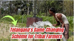 Telangana’s New Scheme Could Be a Game-Changer for Tribal Farmers