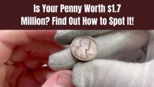 This Penny Could Be Worth $1.7 Million — Do You Own One? Check How to Spot it!