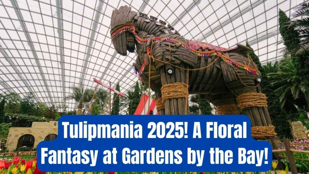 Tulipmania 2025 Is Blooming at Gardens by the Bay—Step into a World of Floral Fantasy 1 Tulipmania 2025 Is Blooming at Gardens by the Bay—Step into a World of Floral Fantasy