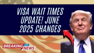 Visa Wait Times Updated! Here’s What Changed for Family and Work Visas in June 2025