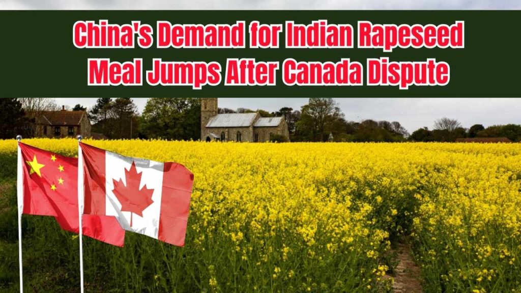 China’s Demand for Indian Rapeseed Meal Surges Tenfold Following Trade Dispute with Canada 1 China’s Demand for Indian Rapeseed Meal Surges Tenfold Following Trade Dispute with Canada