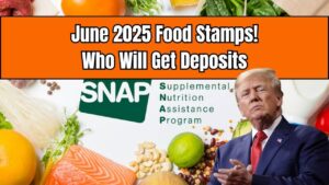 June 2025 Summer Food Stamps: Here’s Who Will Receive Their Deposits This Month