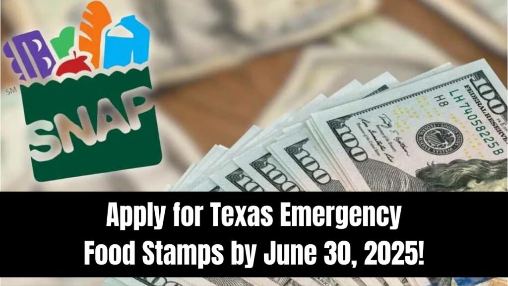 Last Chance to Apply for Texas Emergency Food Stamps: Find Out Who Qualifies Before June 30, 2025 1 Last Chance to Apply for Texas Emergency Food Stamps: Find Out Who Qualifies Before June 30, 2025