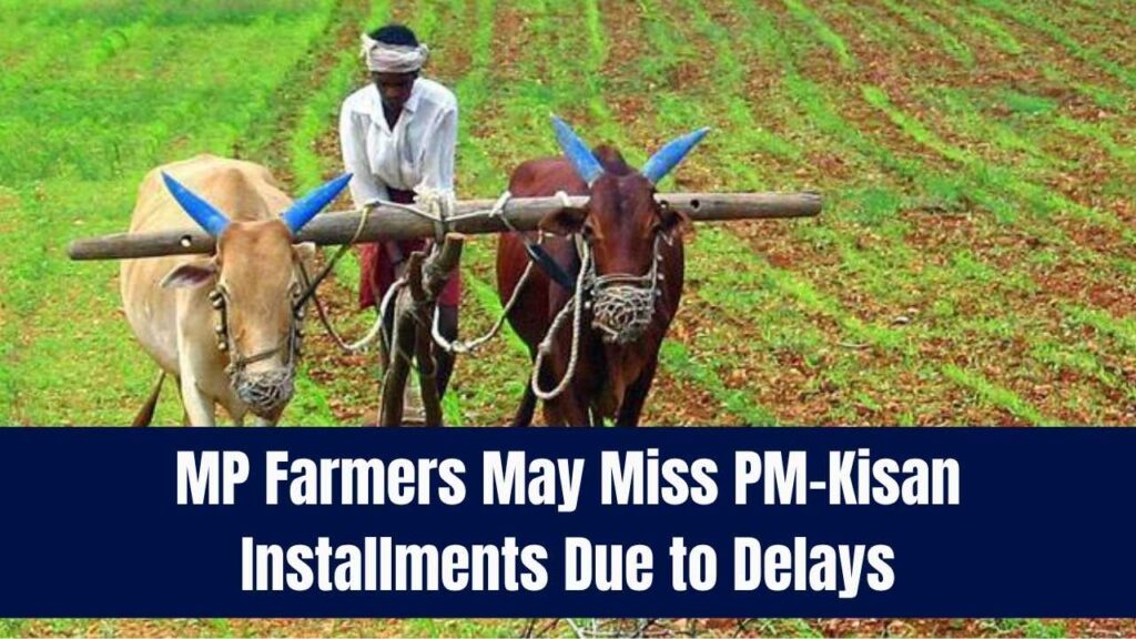 MP Farmers May Miss ₹2000 and ₹4000 PM-Kisan Installments Due to Verification Delays and Incomplete Records 1 MP Farmers May Miss ₹2000 and ₹4000 PM-Kisan Installments Due to Verification Delays and Incomplete Records