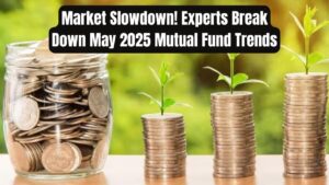 Market Slowdown Hits Mutual Funds — Experts Reveal What May 2025 Numbers Really Mean