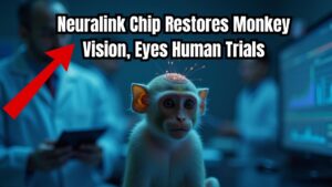 Neuralink’s Blindsight Chip Restores Vision in Monkey Test, Paving Way for Human Trials