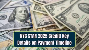New York’s STAR 2025 Credit: What You Need to Know About the Payment Timeline