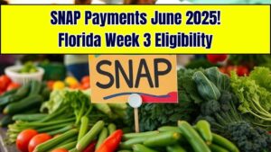 SNAP Florida June 2025: Who Gets Paid in Third Week? Check Eligibility
