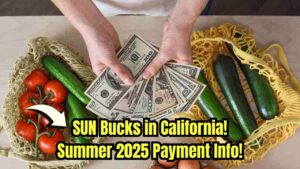 SUN Bucks in California for Summer 2025: Check Payment Details!