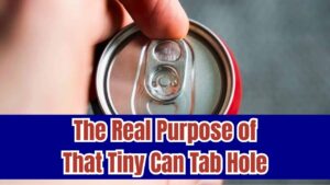 We’ve All Been Wrong About That Tiny Hole in Can Tabs—Its Real Purpose Will Surprise You